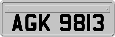 AGK9813