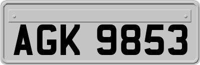 AGK9853