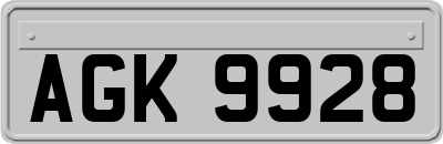 AGK9928