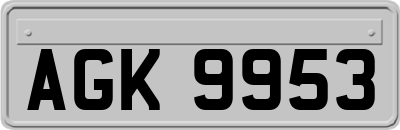 AGK9953