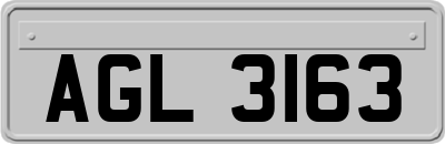 AGL3163