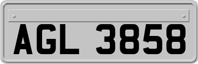 AGL3858