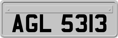 AGL5313