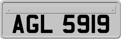 AGL5919
