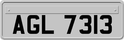 AGL7313