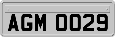 AGM0029