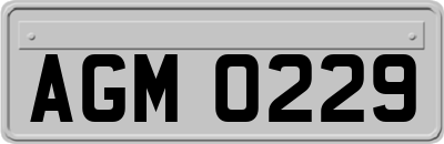AGM0229