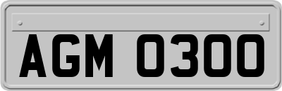 AGM0300