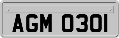 AGM0301