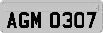 AGM0307
