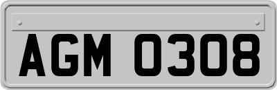 AGM0308