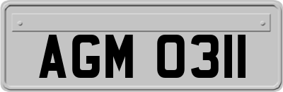 AGM0311