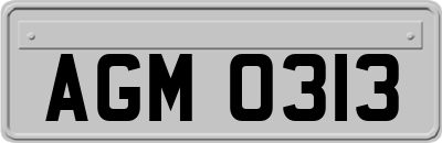 AGM0313