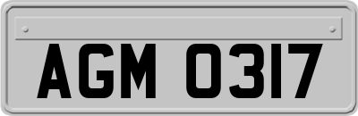 AGM0317