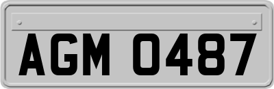 AGM0487