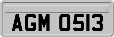 AGM0513
