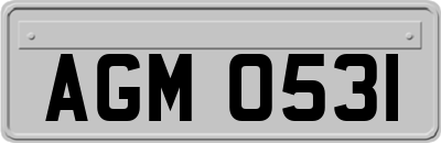 AGM0531