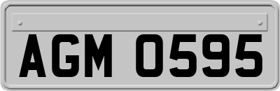 AGM0595