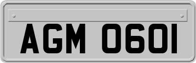 AGM0601
