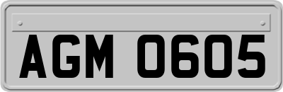 AGM0605