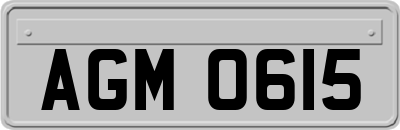 AGM0615
