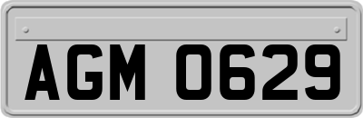 AGM0629