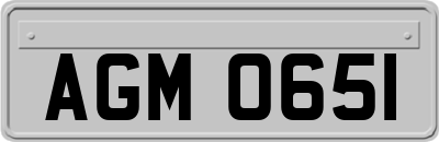 AGM0651