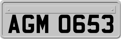 AGM0653