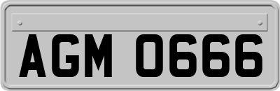 AGM0666