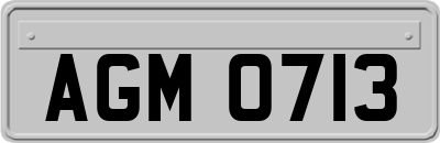 AGM0713