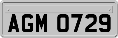 AGM0729
