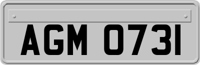 AGM0731