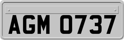 AGM0737