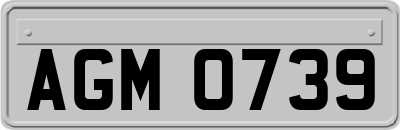 AGM0739