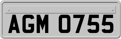AGM0755