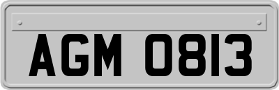 AGM0813