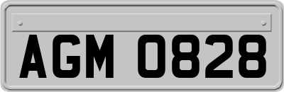 AGM0828
