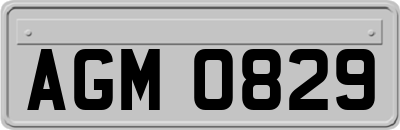 AGM0829