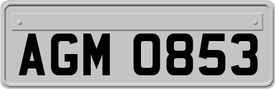 AGM0853