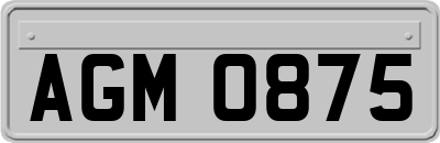 AGM0875