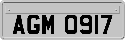 AGM0917