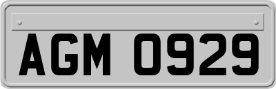 AGM0929