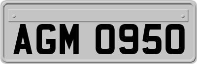 AGM0950