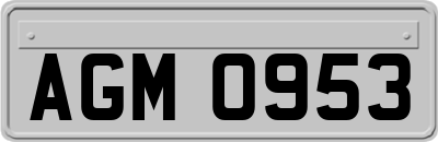 AGM0953