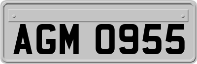 AGM0955