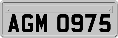 AGM0975