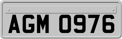 AGM0976