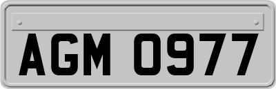 AGM0977