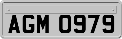AGM0979