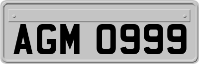 AGM0999